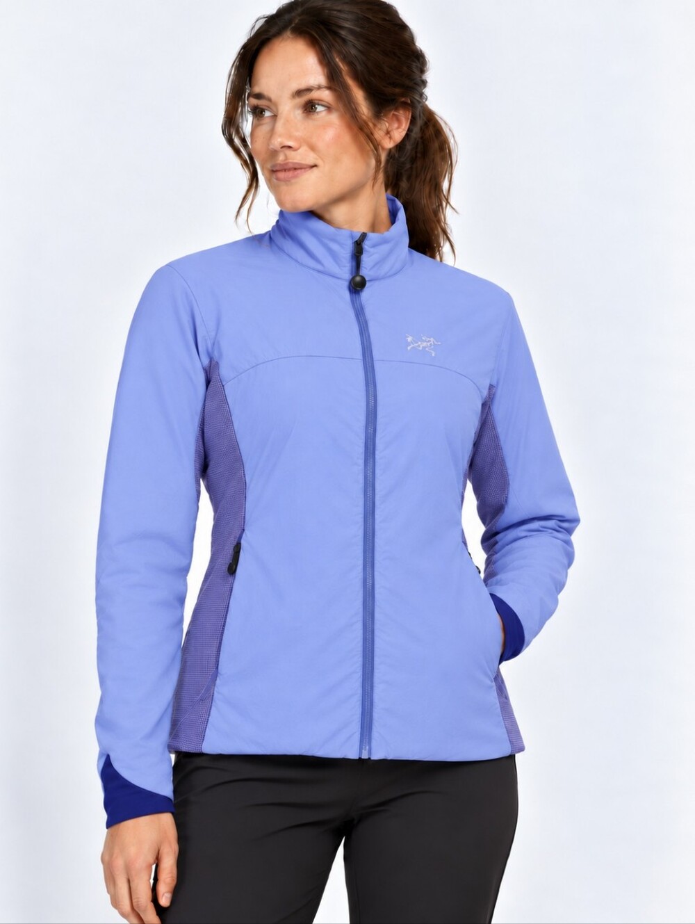 Arc'teryx Atom LT blue violet size L